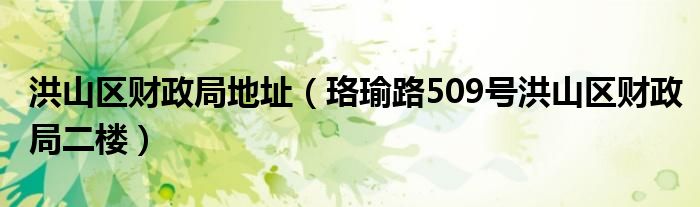 洪山区财政局地址（珞瑜路509号洪山区财政局二楼）