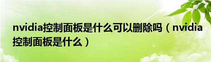 nvidia控制面板是什么可以删除吗（nvidia控制面板是什么）