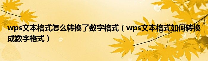 wps文本格式怎么转换了数字格式（wps文本格式如何转换成数字格式）