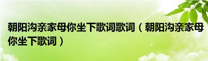 朝阳沟亲家母你坐下歌词歌词（朝阳沟亲家母你坐下歌词）