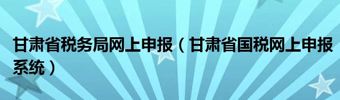 甘肃省税务局网上申报（甘肃省国税网上申报系统）