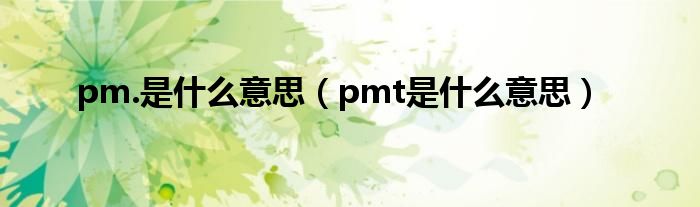 pm.是什么意思（pmt是什么意思）