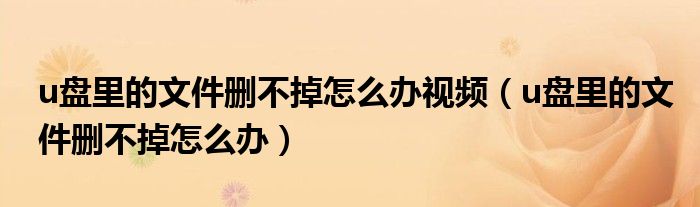 u盘里的文件删不掉怎么办视频（u盘里的文件删不掉怎么办）