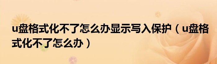 u盘格式化不了怎么办显示写入保护（u盘格式化不了怎么办）