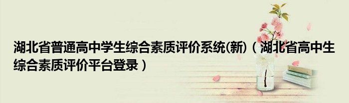 湖北省普通高中学生综合素质评价系统(新)（湖北省高中生综合素质评价平台登录）