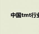 中国tmt行业龙头（tmt是什么意思）