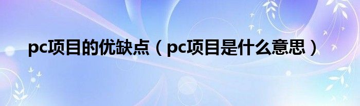 pc项目的优缺点（pc项目是什么意思）