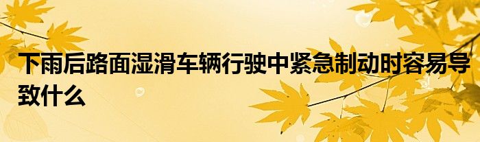 下雨后路面湿滑车辆行驶中紧急制动时容易导致什么