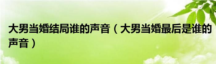 大男当婚结局谁的声音（大男当婚最后是谁的声音）