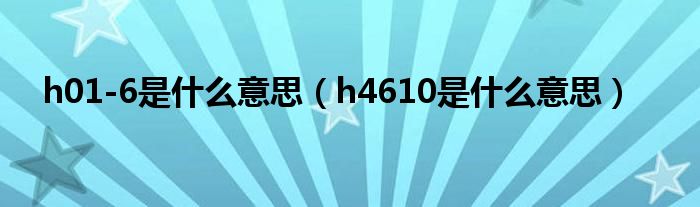 h01-6是什么意思（h4610是什么意思）