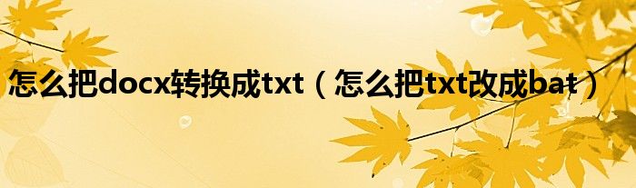 怎么把docx转换成txt（怎么把txt改成bat）