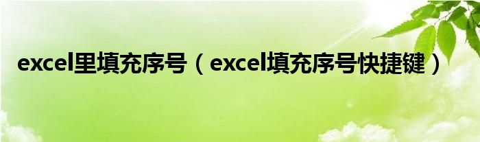 excel里填充序号（excel填充序号快捷键）