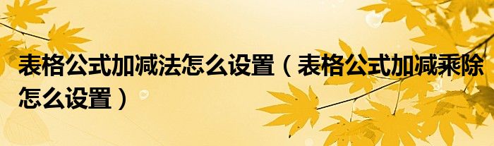 表格公式加减法怎么设置（表格公式加减乘除怎么设置）