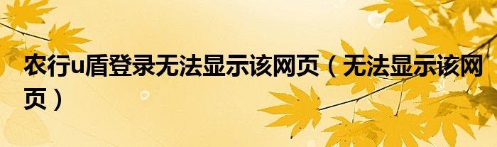 农行u盾登录无法显示该网页（无法显示该网页）