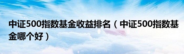 中证500指数基金收益排名（中证500指数基金哪个好）