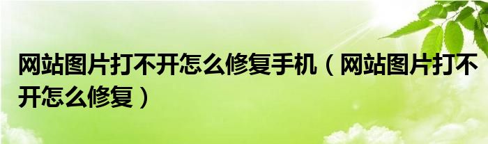 网站图片打不开怎么修复手机（网站图片打不开怎么修复）