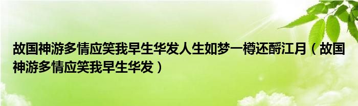 故国神游多情应笑我早生华发人生如梦一樽还酹江月（故国神游多情应笑我早生华发）