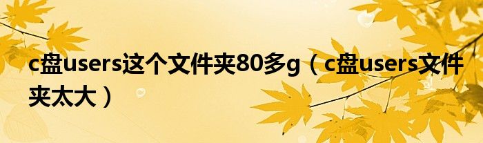 c盘users这个文件夹80多g（c盘users文件夹太大）