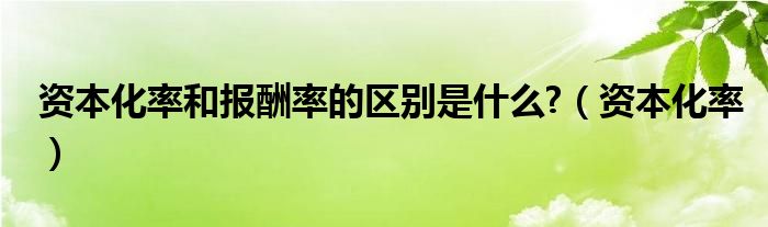 资本化率和报酬率的区别是什么?（资本化率）