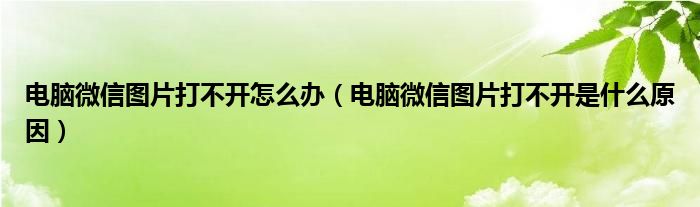 电脑微信图片打不开怎么办（电脑微信图片打不开是什么原因）