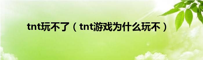 tnt玩不了（tnt游戏为什么玩不）