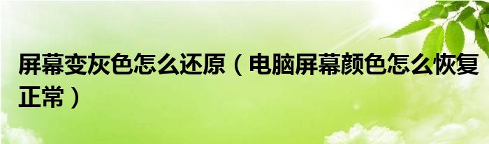 屏幕变灰色怎么还原（电脑屏幕颜色怎么恢复正常）