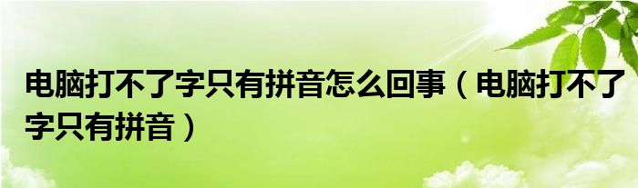 电脑打不了字只有拼音怎么回事（电脑打不了字只有拼音）