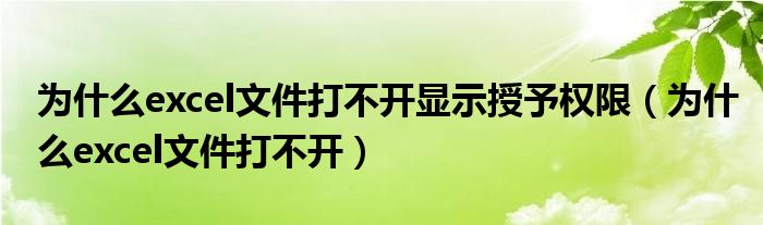 为什么excel文件打不开显示授予权限（为什么excel文件打不开）