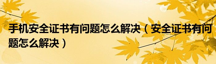 手机安全证书有问题怎么解决（安全证书有问题怎么解决）