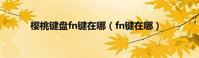 樱桃键盘fn键在哪（fn键在哪）