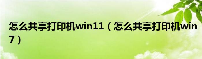 怎么共享打印机win11（怎么共享打印机win7）