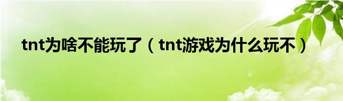 tnt为啥不能玩了（tnt游戏为什么玩不）