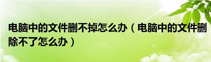 电脑中的文件删不掉怎么办（电脑中的文件删除不了怎么办）