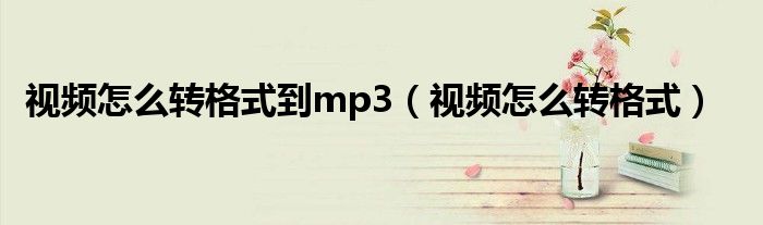 视频怎么转格式到mp3（视频怎么转格式）