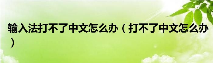 输入法打不了中文怎么办（打不了中文怎么办）