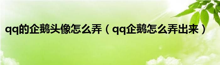 qq的企鹅头像怎么弄（qq企鹅怎么弄出来）