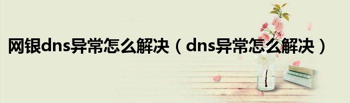 网银dns异常怎么解决（dns异常怎么解决）