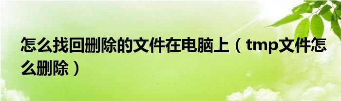 怎么找回删除的文件在电脑上（tmp文件怎么删除）