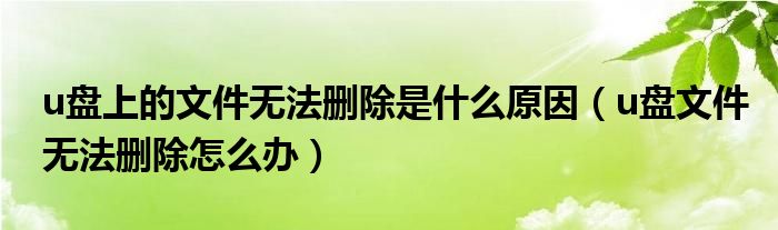 u盘上的文件无法删除是什么原因（u盘文件无法删除怎么办）