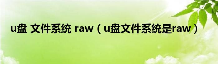 u盘 文件系统 raw（u盘文件系统是raw）