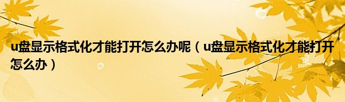 u盘显示格式化才能打开怎么办呢（u盘显示格式化才能打开怎么办）