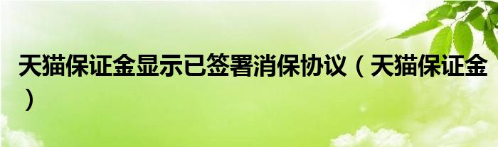 天猫保证金显示已签署消保协议（天猫保证金）