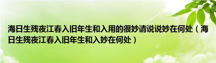 海日生残夜江春入旧年生和入用的很妙请说说妙在何处（海日生残夜江春入旧年生和入妙在何处）