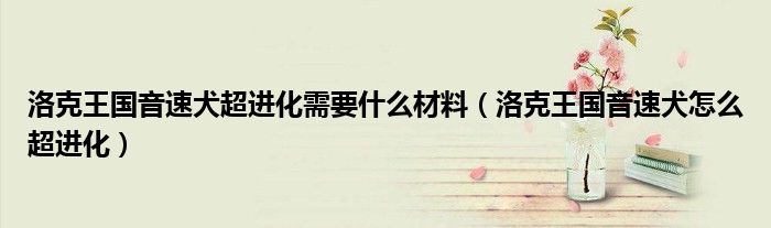 洛克王国音速犬超进化需要什么材料（洛克王国音速犬怎么超进化）