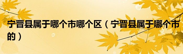 宁晋县属于哪个市哪个区（宁晋县属于哪个市的）