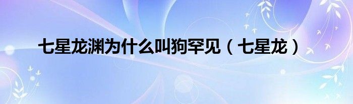 七星龙渊为什么叫狗罕见（七星龙）