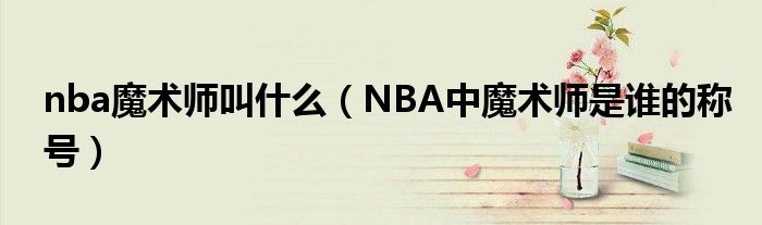 nba魔术师叫什么（NBA中魔术师是谁的称号）