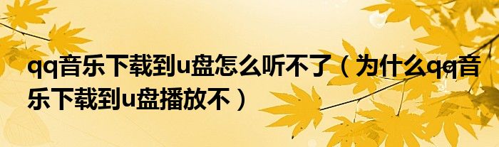 qq音乐下载到u盘怎么听不了（为什么qq音乐下载到u盘播放不）