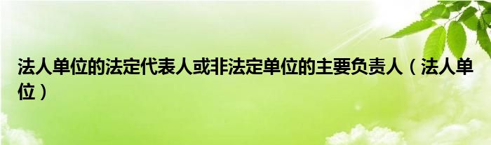 法人单位的法定代表人或非法定单位的主要负责人（法人单位）