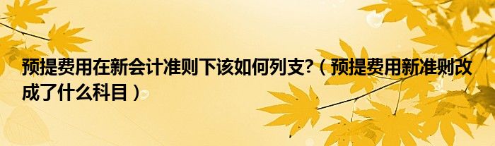 预提费用在新会计准则下该如何列支?（预提费用新准则改成了什么科目）